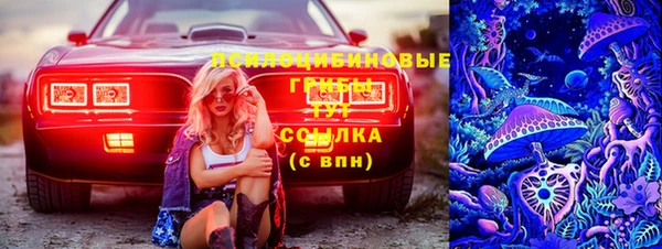 Альфа ПВП Медногорск
