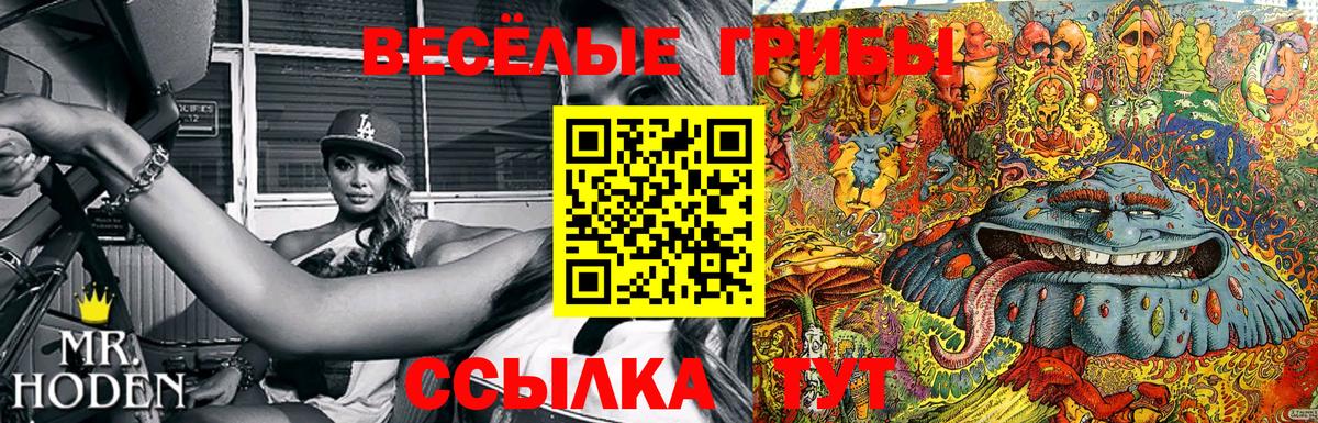 Псилоцибиновые грибы мицелий Омск